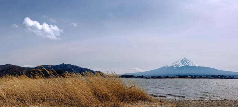 From Tokyo: 1 Full Day Mount fuji Sightseeing Trip - Kitaguchi-hongu Fuji Sengen Shrine and Arakura pagoda energy