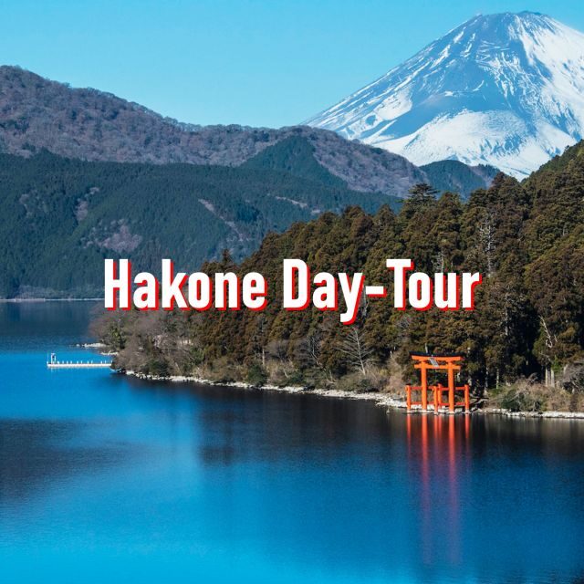 From Tokyo: 10-hour Hakone Private Custom Tour - Why a private car works so well for Hakone day trips