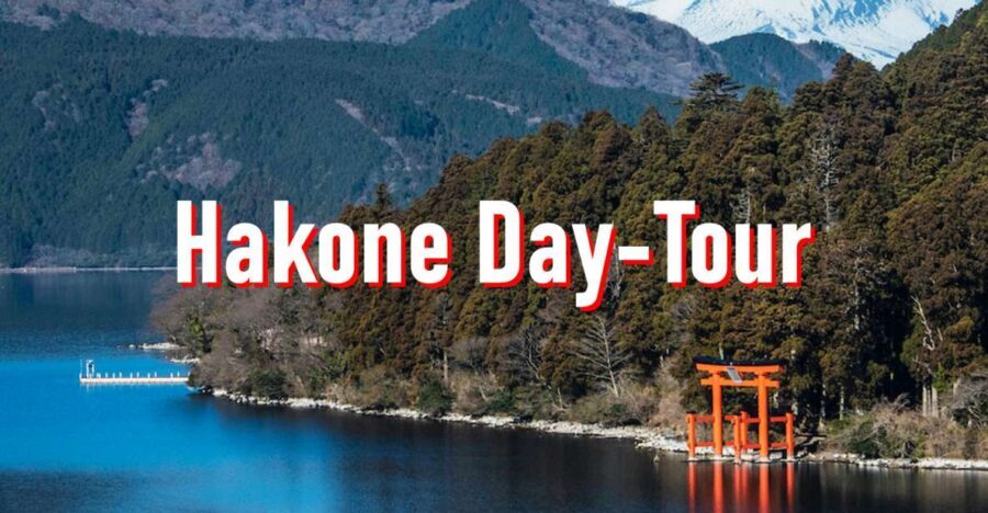 From Tokyo: 10-hour Hakone Private Custom Tour - Driver experience, optional guide, and how local context actually helps