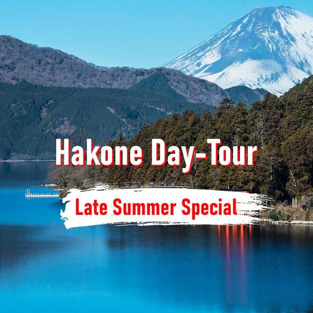 From Tokyo: 10-hour Hakone Private Custom Tour - Price and logistics for a group of up to 3 from Tokyo