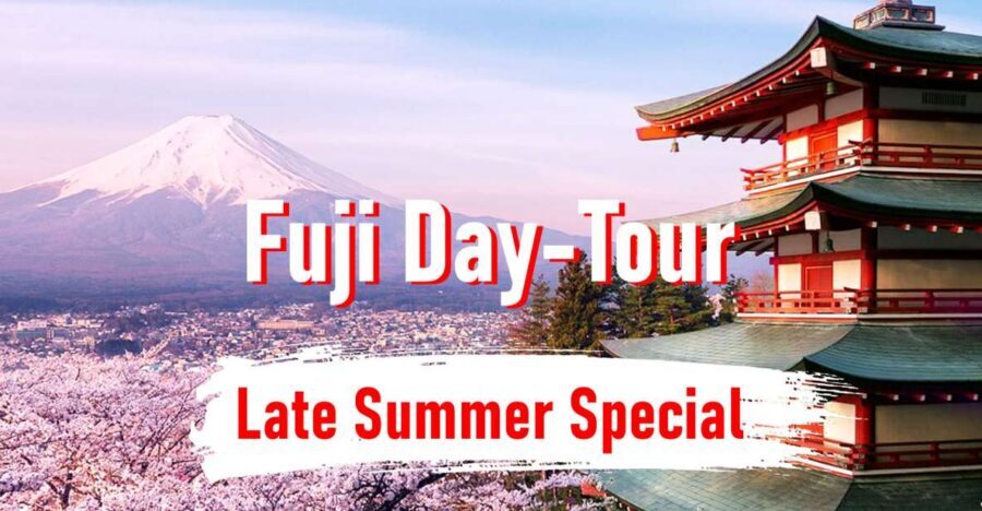 From Tokyo: 10-hour Mount Fuji Private Customizable Tour - Your 10-hour route options: Fuji sights and a practical shopping stop