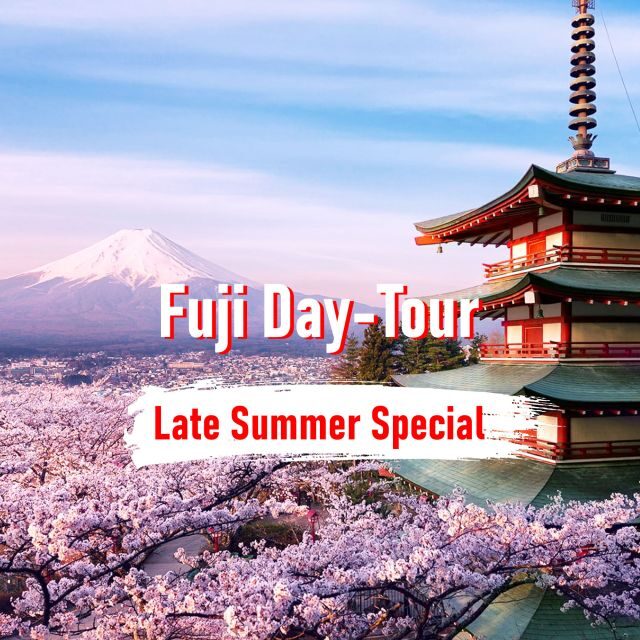 From Tokyo: 10-hour Mount Fuji Private Customizable Tour - What’s not included, and how to budget like a grown-up