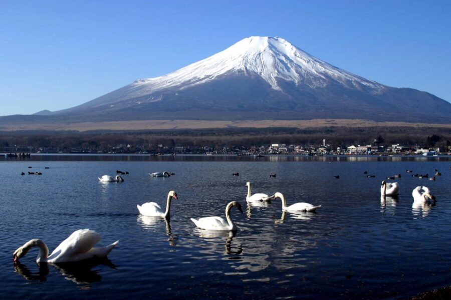 From Tokyo: Fuji Mountain Area - FujiQ - Lake Kawaguchiko - Chureito Pagoda - Lake Kawaguchiko: reflections plus real choices