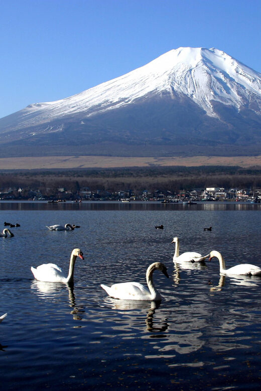 From Tokyo: Fuji Mountain Area - FujiQ - Lake Kawaguchiko - Chureito Pagoda - Who this tour fits best