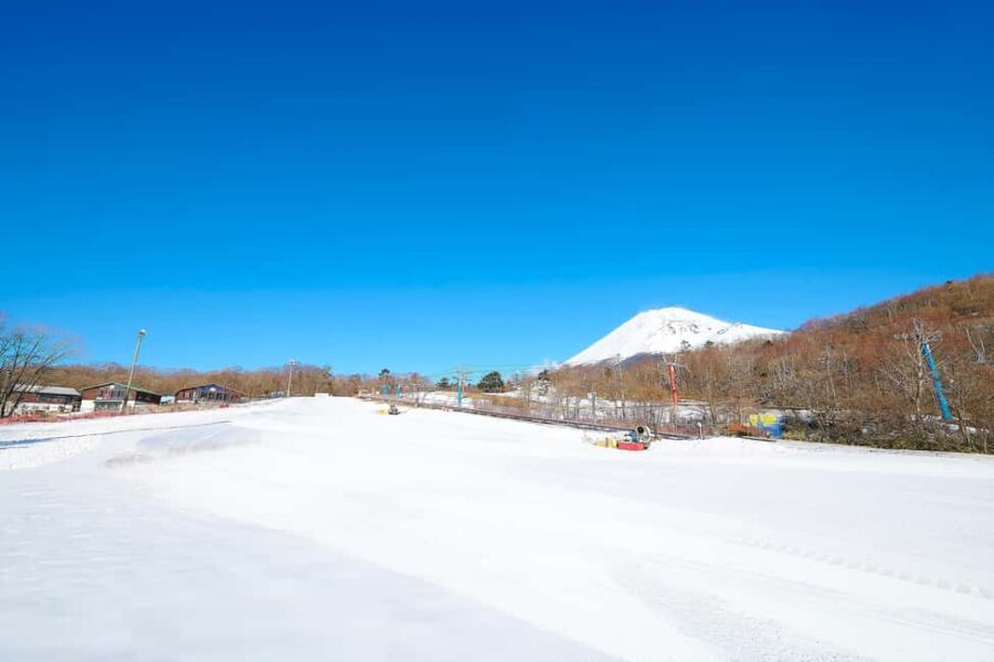 From Tokyo : Fujiyama Snow Resort Yeti Day Tour - Key things to know before you go