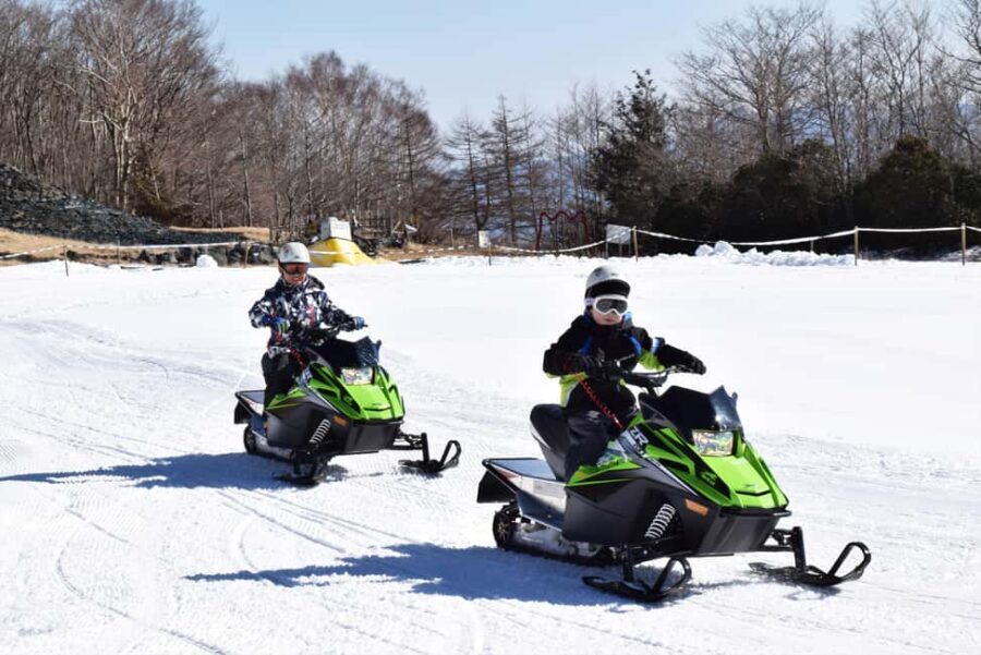 From Tokyo: Fujiyama Snow Resort Yeti Winter Ski Day Tour - Value check: does $49 make sense for an 11-hour winter outing?