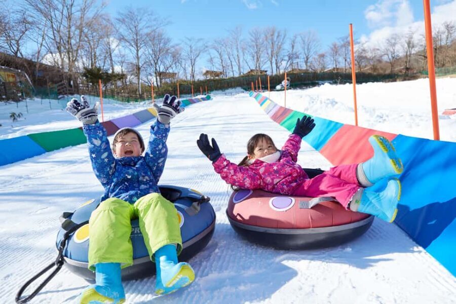 From Tokyo: Fujiyama Snow Resort Yeti Winter Ski Day Tour - Guides: what you can hope for on the day