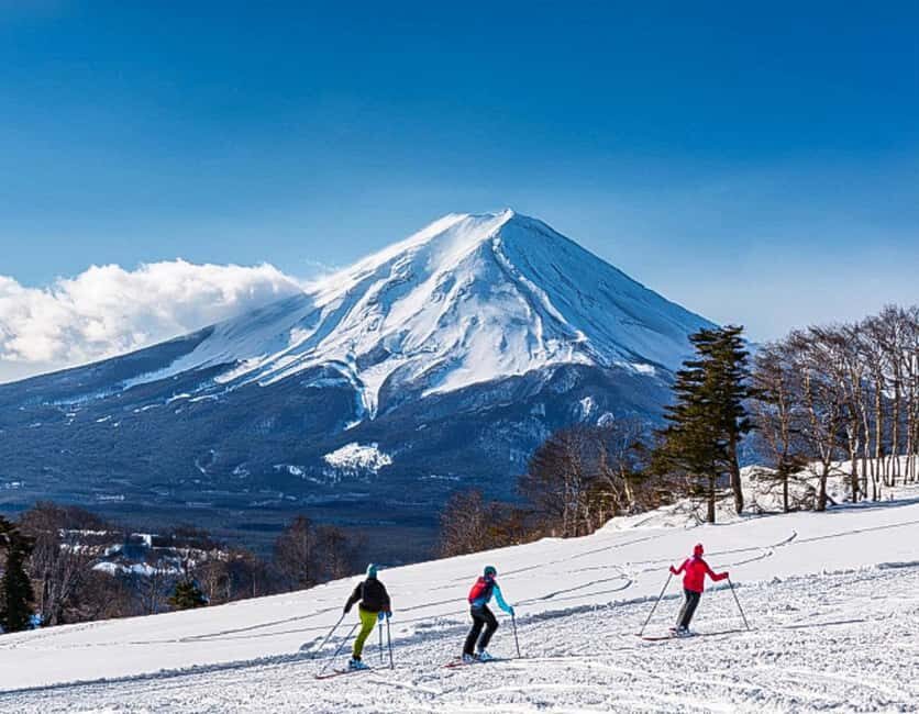 From Tokyo: Fujiyama Snow Resort Yeti Winter Ski Day Tour - Who should book this tour, and who should skip it