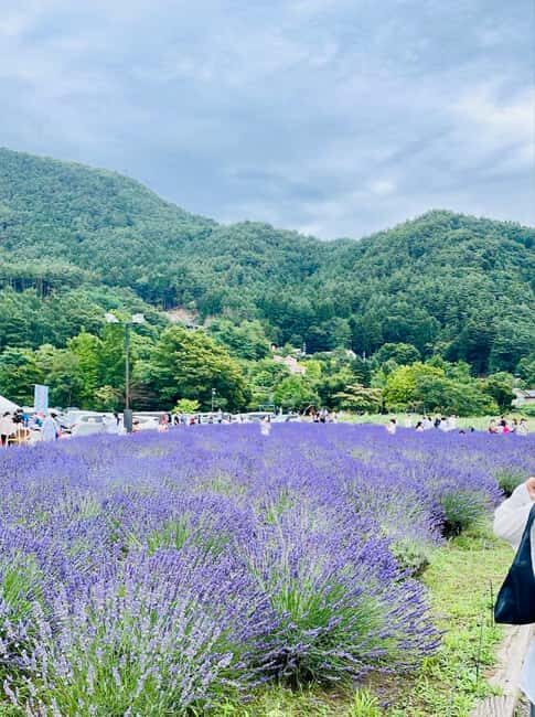 From Tokyo: Full-Day Mount Fuji Tour in English or Spanish - From Nishishinjuku to Fuji: how the 10-hour day moves