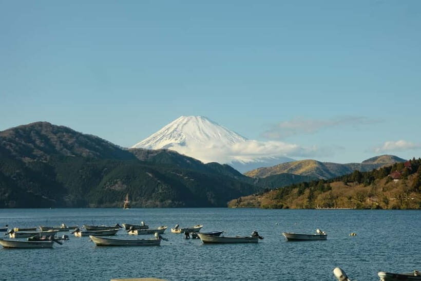 From Tokyo: Hakone Day Trip with English Speaking Driver - Lake Ashi cruise on a replica pirate ship