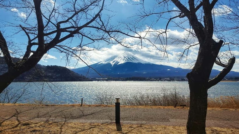 From Tokyo: Hakone Day Trip with English Speaking Driver - Arakura Sengen Shrine and the five-storied pagoda viewpoint