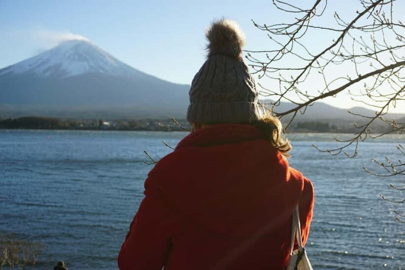From Tokyo: Hakone Day Trip with English Speaking Driver - Hakone Shrine: a quick photo stop with a calmer feel