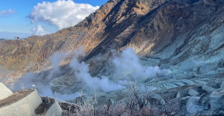 From Tokyo: Hakone Full Day Customizable Private Tour - Private Tokyo-to-Hakone touring that actually saves energy