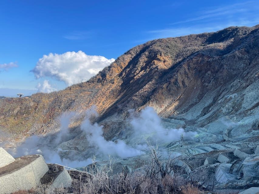 From Tokyo: Hakone Full Day Customizable Private Tour - Owakudani Valley: volcanic drama that wakes up the day