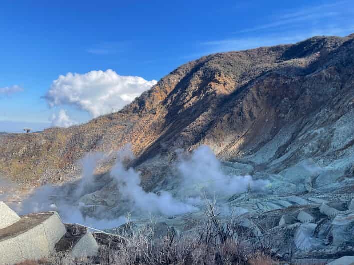 From Tokyo: Hakone Full Day Customizable Private Tour - Price and logistics: what $325 per group really buys
