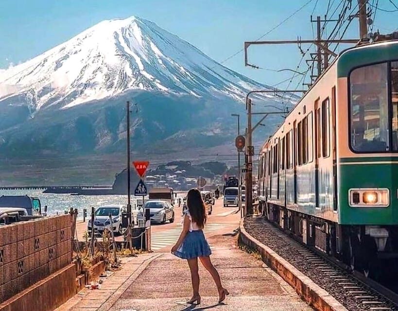 From Tokyo: Kamakura and Enoshima Full-Day Private Trip - Hase-dera Temple: gardens plus coastline views