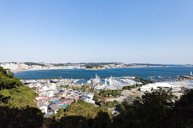 From Tokyo: Kamakura & Enoshima 1-Day Bus Tour - Stop 1: Tsurugaoka Hachimangu Shrine and Komachi Street