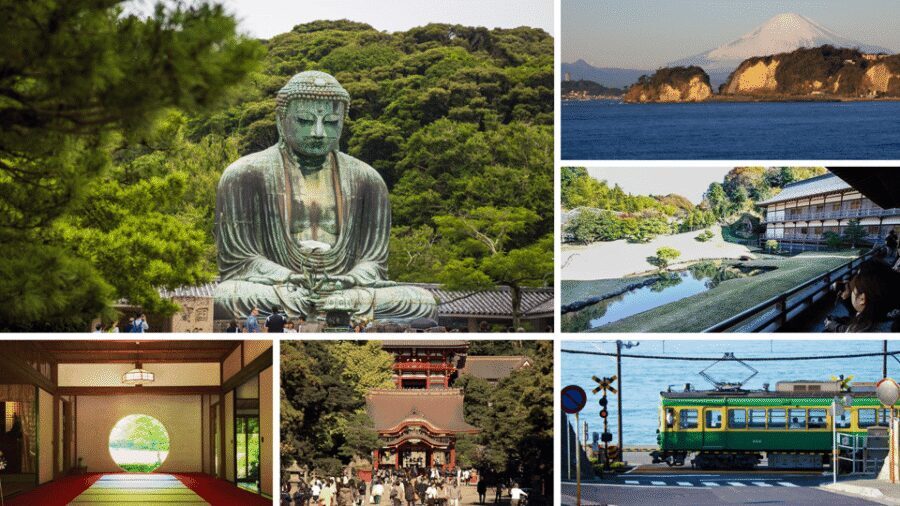 From Tokyo: Kamakura Full Day Tour with a Local Expert Guide - Key Points Before You Go