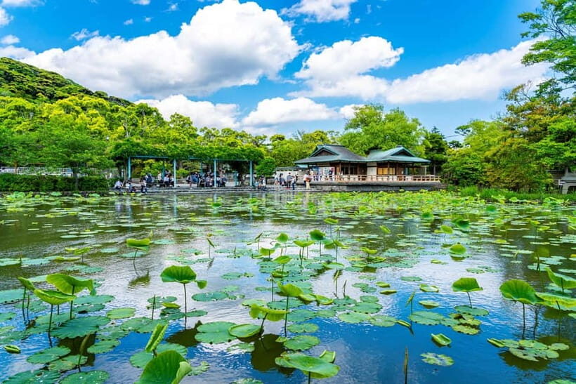 From Tokyo: Kamakura, Great Buddha, and Enoshima Bus Tour - Should you book this Kamakura, Great Buddha, and Enoshima bus tour?