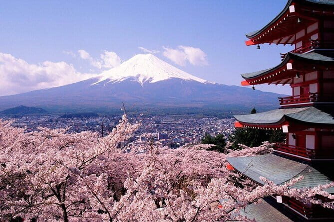 From Tokyo Kamakura, Hachimangu Shrine and Enoshima Full Day Tour - Komachi Street: the snack-and-shopping finish line
