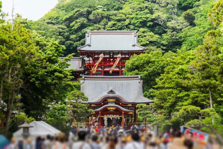 From Tokyo: Kamakura Private Customize Tour by Luxury Van - Practical Tips for a Smooth Day in Kamakura