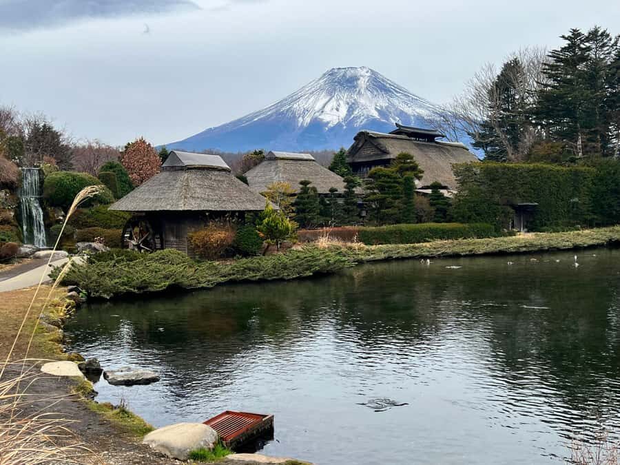 From Tokyo: Mount Fuji and Hakone Private Day Trip - Key Points You’ll Care About