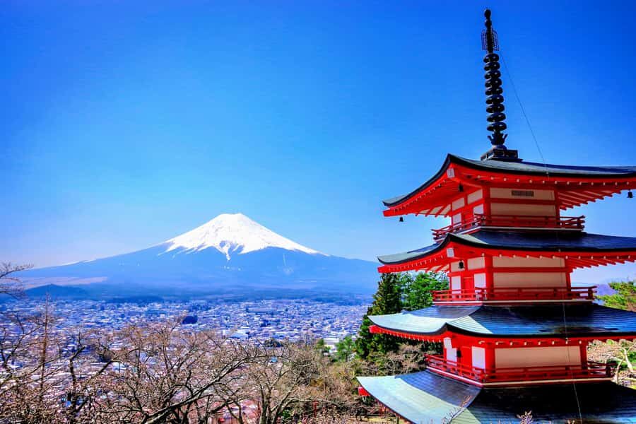 From Tokyo: Mount Fuji and Hakone Private Day Trip - Chureito Pagoda and Fuji Sengen Shrines: The Classic Fuji Scene, Done Right