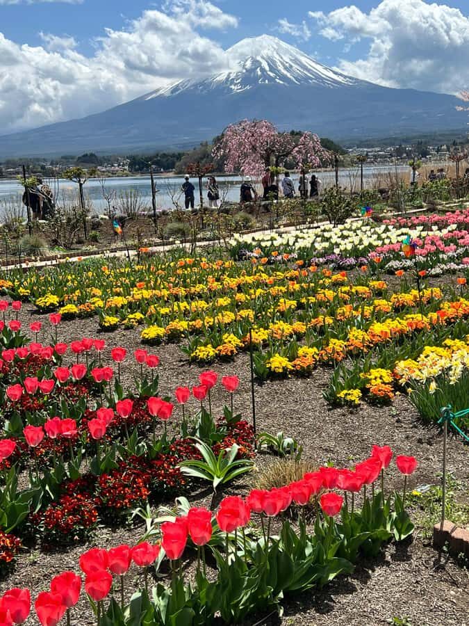 From Tokyo: Mount Fuji and Hakone Private Day Trip - Oshino Hakkai: Eight Ponds Fed by Snowmelt