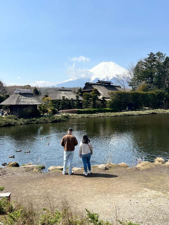 From Tokyo: Mount Fuji and Hakone Private Day Trip - Hakone National Park: Lake Ashi, Owakudani, and the Ropeway