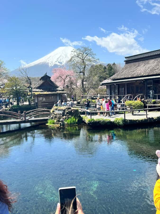 From Tokyo: Mount Fuji and Hakone Private Day Trip - Hakone Open Air Museum: Art, Gardens, and Walkable Recovery Time