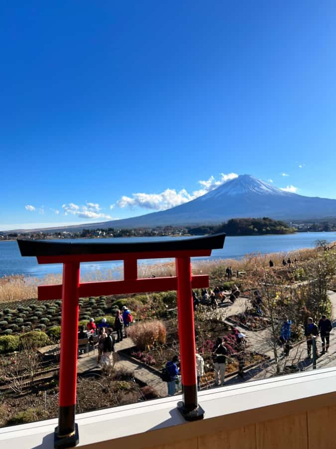 From Tokyo: Mount Fuji and Hakone Private Day Trip - Price and Value: $438 for Up to 5 (and Why It Can Beat a Coach Tour)