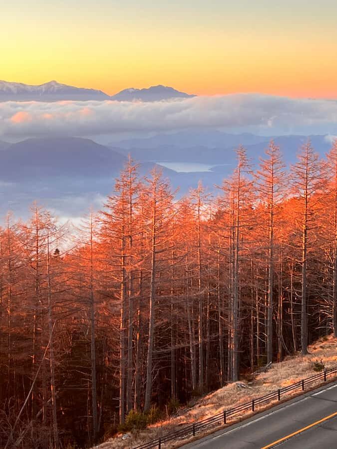From Tokyo: Mount Fuji and Hakone Private Day Trip - Subaru 5th Station and Tenjosan Komitake Shrine: Fuji Above the Clouds