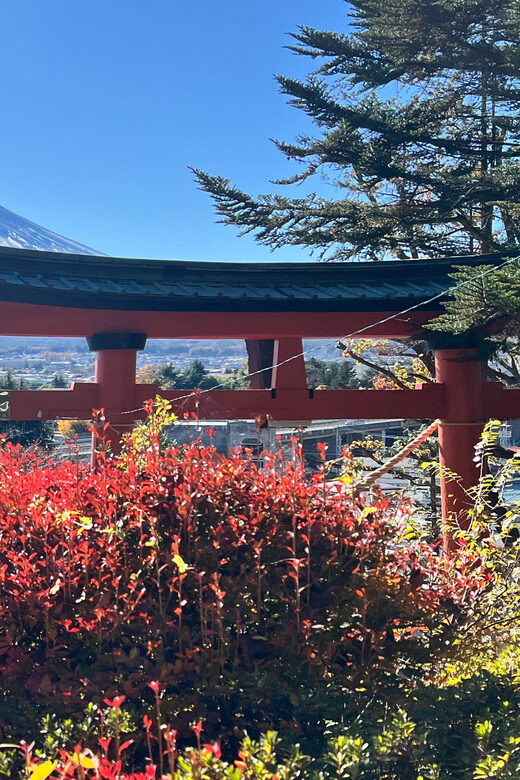 From Tokyo MOUNT FUJI and Lake Kawaguchi-ku Full Day Tour - Lunch: local restaurant meal, usually with Fuji-friendly options