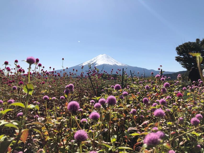 From Tokyo: Mount Fuji, Cruise and Sake Tour - Price and Value: Is $120 a Good Deal?