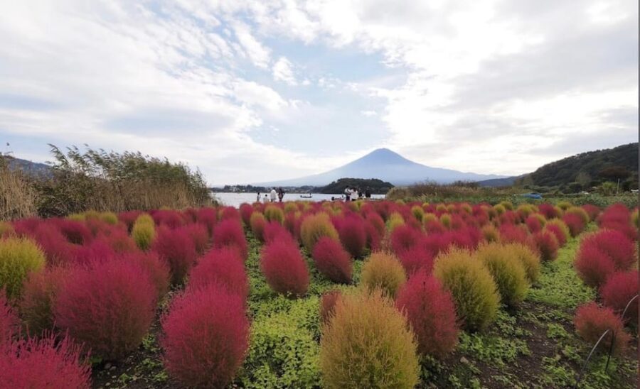From Tokyo: Mount Fuji Full Customized Tour English Guide - Mount Fuji 5th Station: the ticket is not included, but the timing is everything