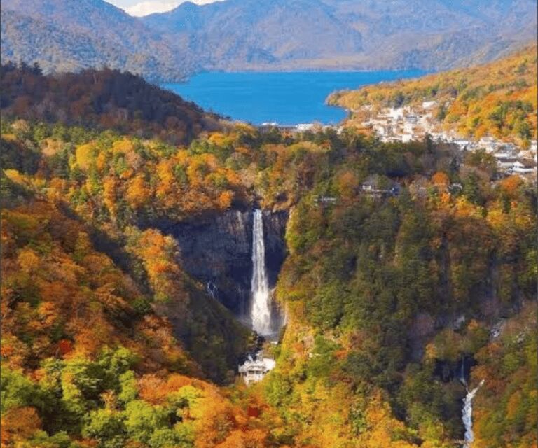 From Tokyo: Mount Fuji Full-Day Customizable Private Tour - A private Tokyo-to-Fuji day that actually feels like your day