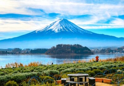 From Tokyo: Mount Fuji Full Day Customizable Private Tour - Mount Fuji 5th Station: Big Views, Small Costs, Clear Rules
