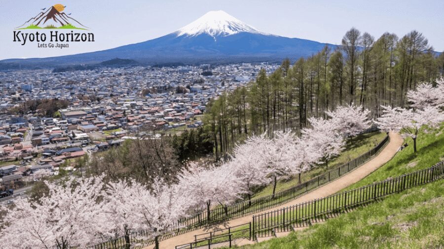 From Tokyo: Mount Fuji Full-Day Customizable Private Tour - Lake Kawaguchi, the ropeway, and the boat rhythm