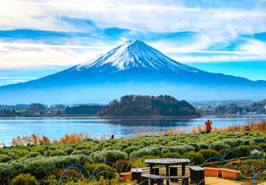 From Tokyo: Mount Fuji Full-Day Customizable Private Tour - Two different moods: Fuji Five Lakes vs Hakone calm