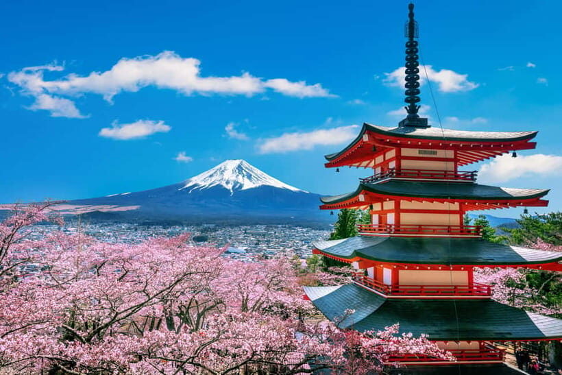 From Tokyo: Mount Fuji Full Day Private Customizable Tour - Quick takeaways