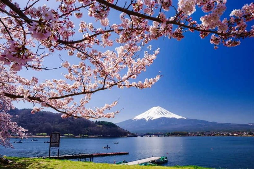 From Tokyo: Mount Fuji Full Day Private Customizable Tour - Why this private Fuji day feels easier than DIY