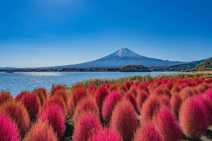 From Tokyo: Mount Fuji Full Day Private Customizable Tour - Timing and traffic: the 6am strategy that keeps the day fun