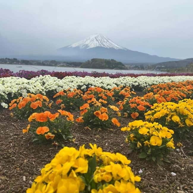From Tokyo: Mount Fuji Full-Day Private Tour (Customizable) - Oshino Hakkai Village: Spring Ponds, Thatched Roofs, and Village Calm