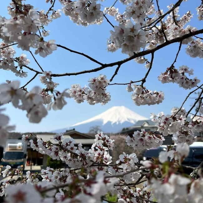 From Tokyo: Mount Fuji Full-Day Private Tour (Customizable) - Who This Tour Fits Best (And Who Should Skip It)