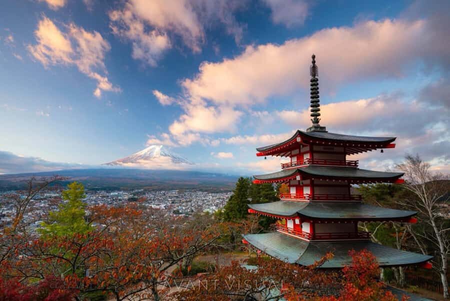From Tokyo: Mount Fuji Full Day Private Tour English Guide - Key takeaways before you go