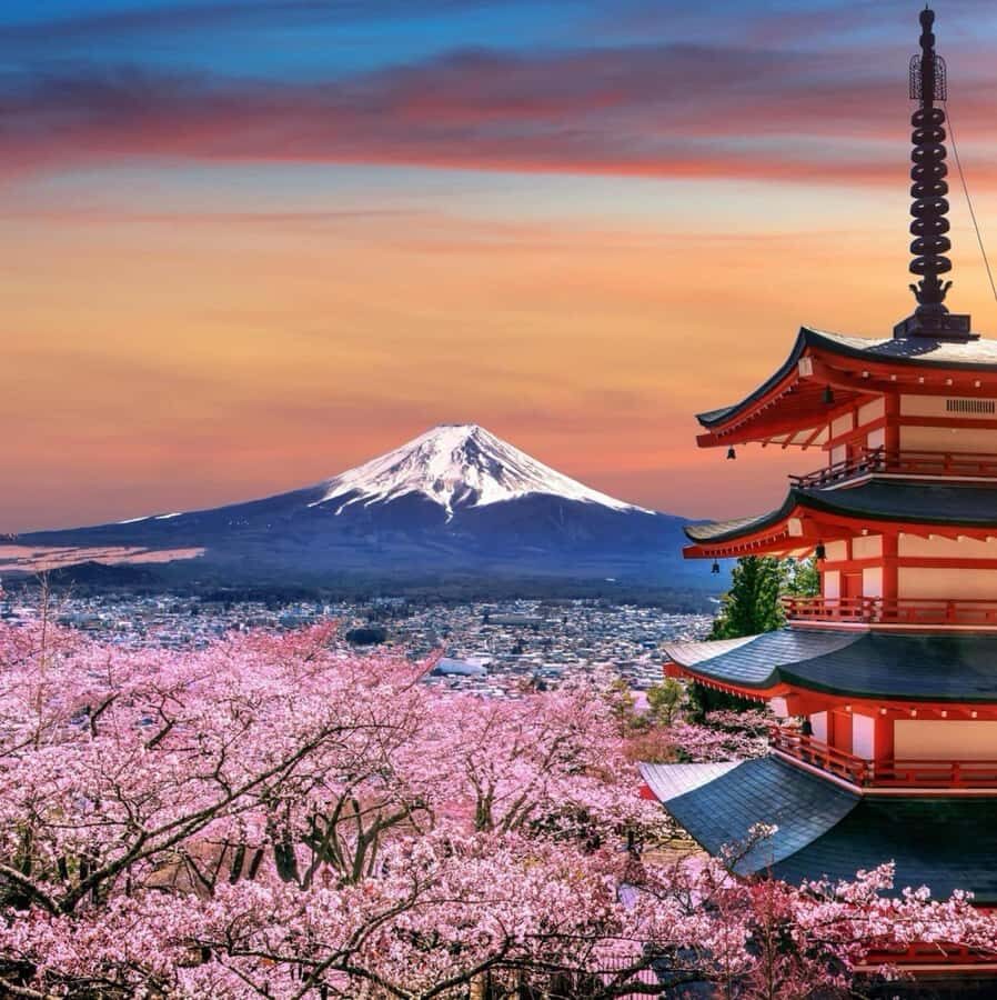 From Tokyo: Mount Fuji Full Day Private Tour English Guide - Oshino Hakkai: eight ponds, calm walking, and Fuji in the water
