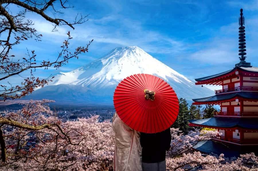 From Tokyo: Mount Fuji Full Day Private Tour English Guide - Lake Kawaguchi area: Oishi Park and why this stop balances the day