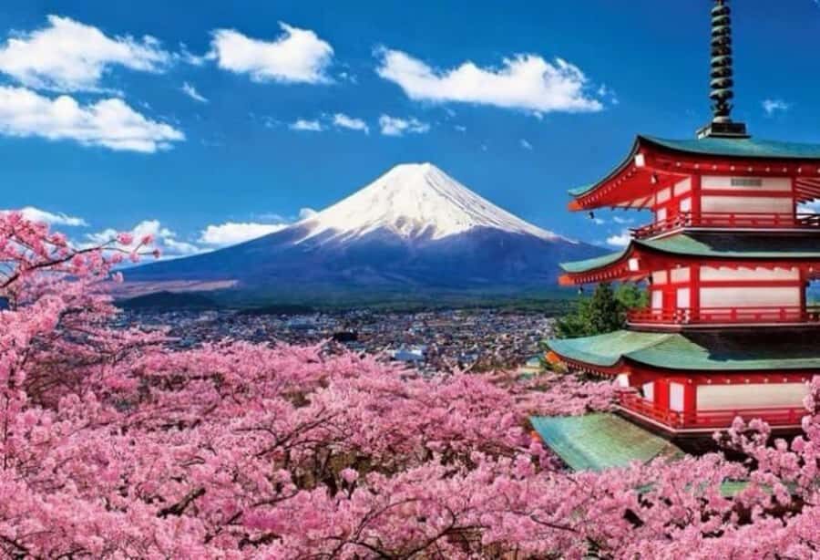 From Tokyo: Mount Fuji Full Day Private Tour English Guide - Kita-Guchi Shrine: a quieter spiritual stop that still feels like Fuji
