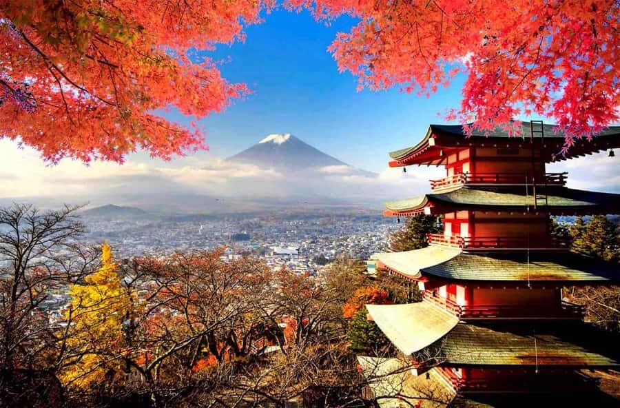 From Tokyo: Mount Fuji Full Day Private Tour English Guide - Getting to the Fuji area without losing your whole day in transit