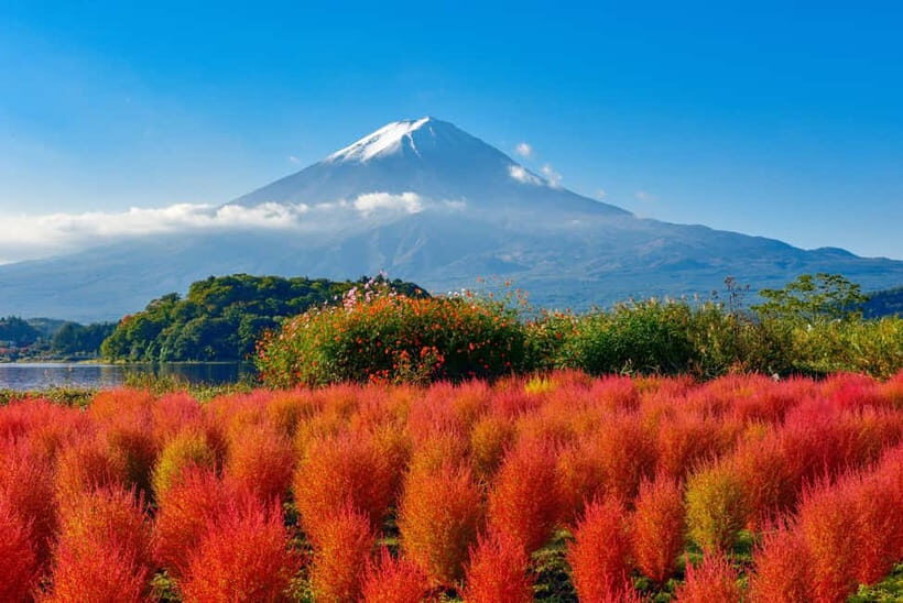 From Tokyo: Mount Fuji Full-Day Sightseeing Trip - Tokyo pickup, coach comfort, and why it matters